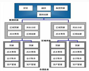 浅谈财务控制型管控模式的5个特点
